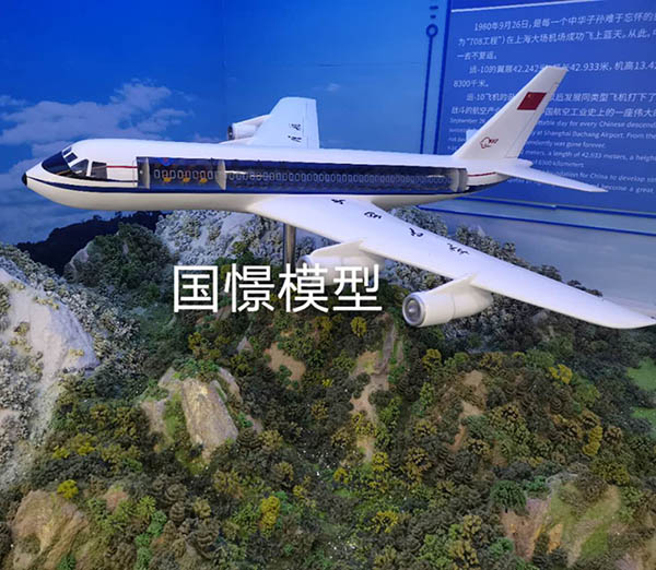 同仁市飞机模型