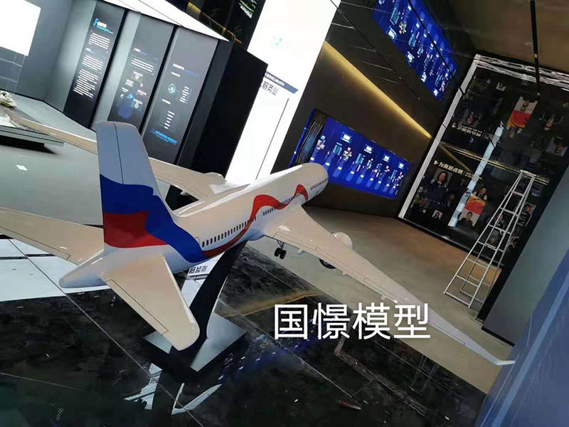 同仁市飞机模型